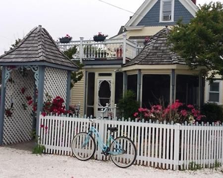 شنكوتيغ Miss Molly'S Inn المظهر الخارجي الصورة