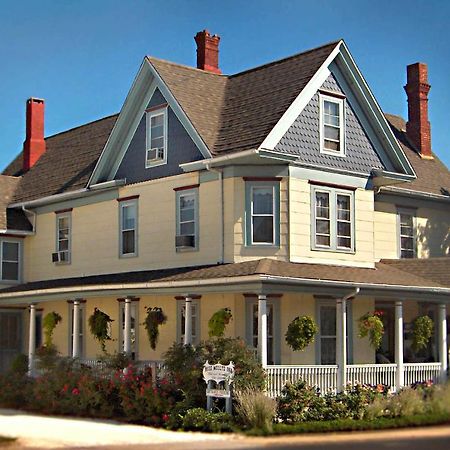 شنكوتيغ Miss Molly'S Inn المظهر الخارجي الصورة