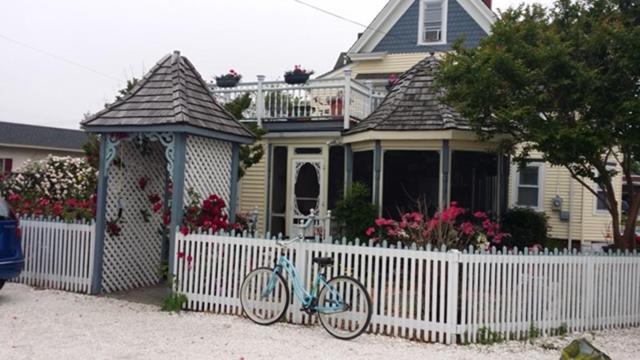 شنكوتيغ Miss Molly'S Inn المظهر الخارجي الصورة