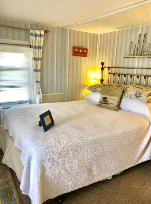 شنكوتيغ Miss Molly'S Inn المظهر الخارجي الصورة