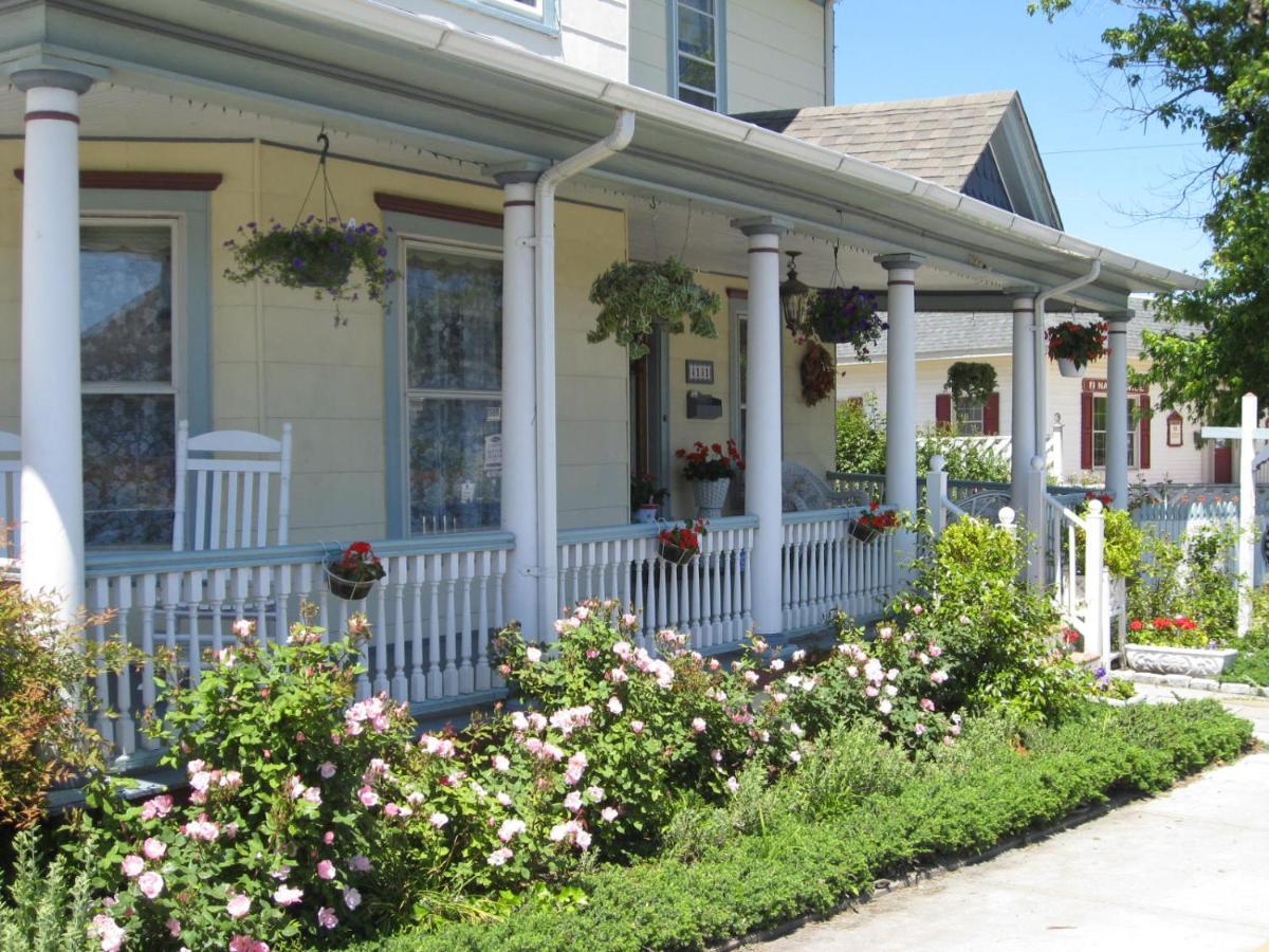 شنكوتيغ Miss Molly'S Inn المظهر الخارجي الصورة